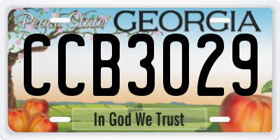 GA license plate CCB3029