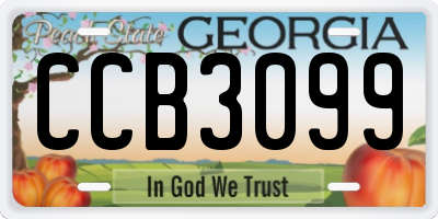 GA license plate CCB3099