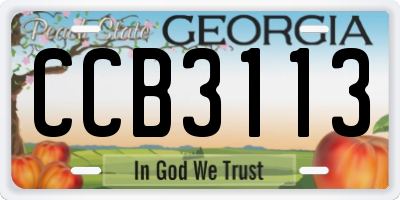 GA license plate CCB3113