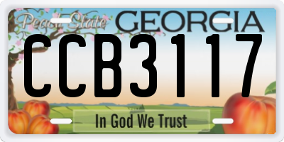 GA license plate CCB3117