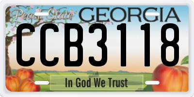 GA license plate CCB3118
