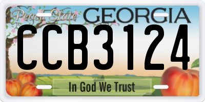 GA license plate CCB3124