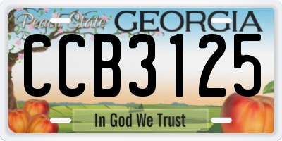 GA license plate CCB3125