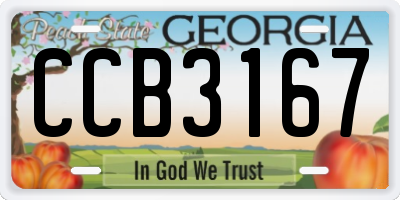 GA license plate CCB3167