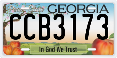 GA license plate CCB3173