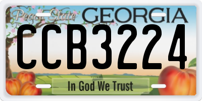GA license plate CCB3224