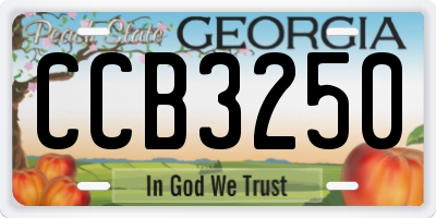 GA license plate CCB3250
