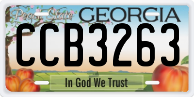 GA license plate CCB3263