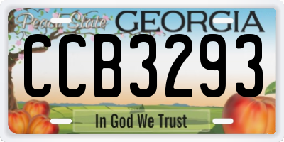 GA license plate CCB3293