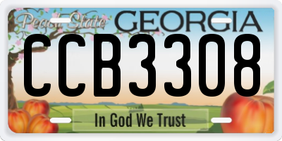 GA license plate CCB3308