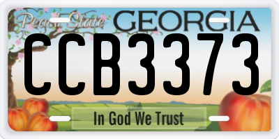 GA license plate CCB3373