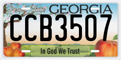 GA license plate CCB3507