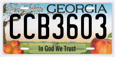 GA license plate CCB3603
