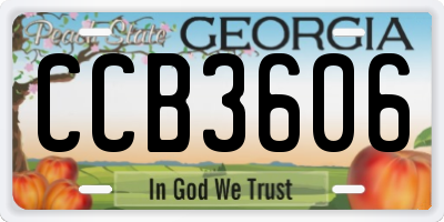 GA license plate CCB3606