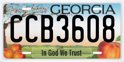 GA license plate CCB3608