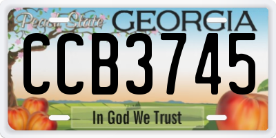 GA license plate CCB3745