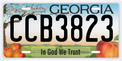 GA license plate CCB3823