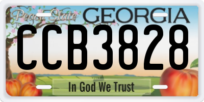 GA license plate CCB3828