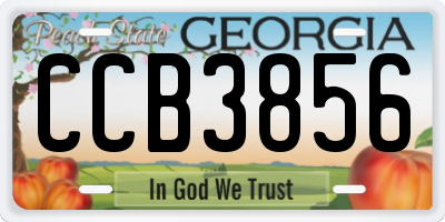 GA license plate CCB3856