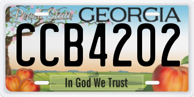 GA license plate CCB4202