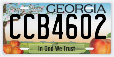 GA license plate CCB4602
