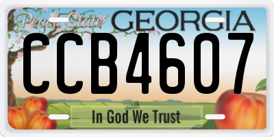 GA license plate CCB4607