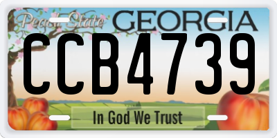 GA license plate CCB4739