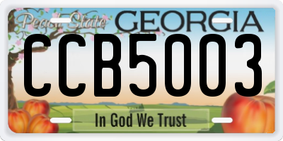 GA license plate CCB5003
