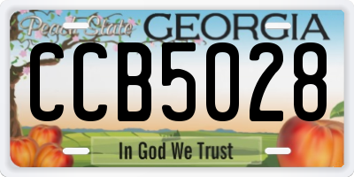GA license plate CCB5028