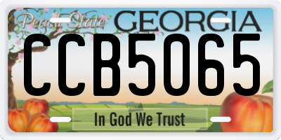 GA license plate CCB5065