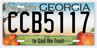 GA license plate CCB5117