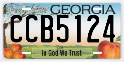 GA license plate CCB5124
