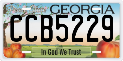 GA license plate CCB5229