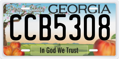 GA license plate CCB5308