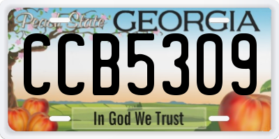 GA license plate CCB5309