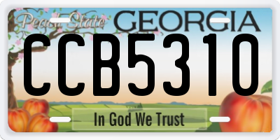 GA license plate CCB5310