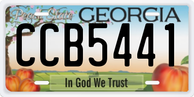 GA license plate CCB5441