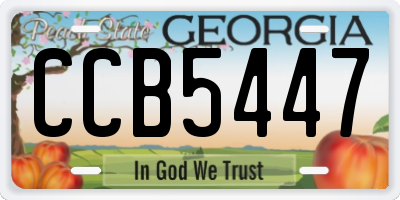 GA license plate CCB5447