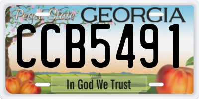 GA license plate CCB5491