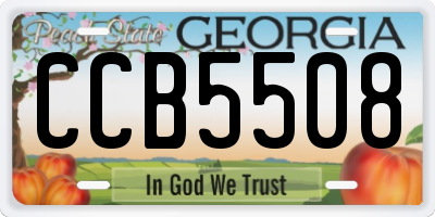 GA license plate CCB5508