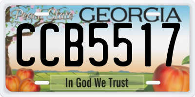 GA license plate CCB5517