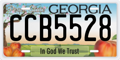 GA license plate CCB5528