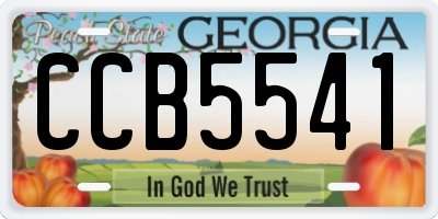 GA license plate CCB5541