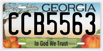 GA license plate CCB5563