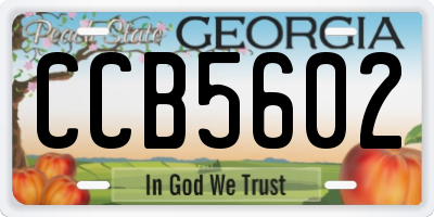 GA license plate CCB5602
