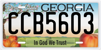 GA license plate CCB5603