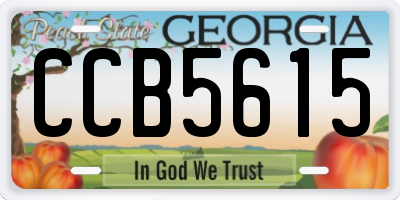 GA license plate CCB5615
