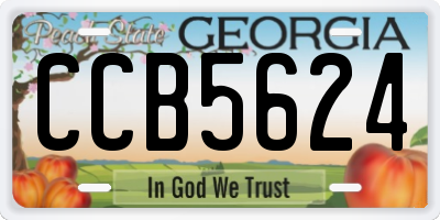 GA license plate CCB5624