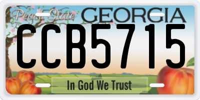 GA license plate CCB5715