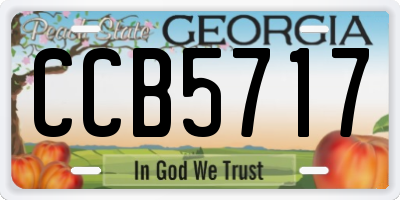 GA license plate CCB5717